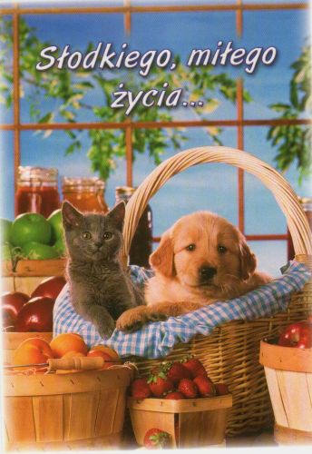 Slodkiego milego zycia.